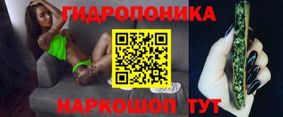 не бодяженный Сланцы