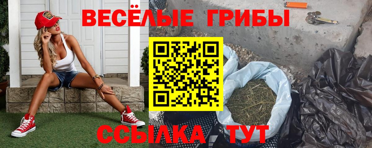 Псилоцибиновые грибы GOLDEN TEACHER  Вход с VPN  Галлюциногенные грибы ЛСД  Куйбышев 